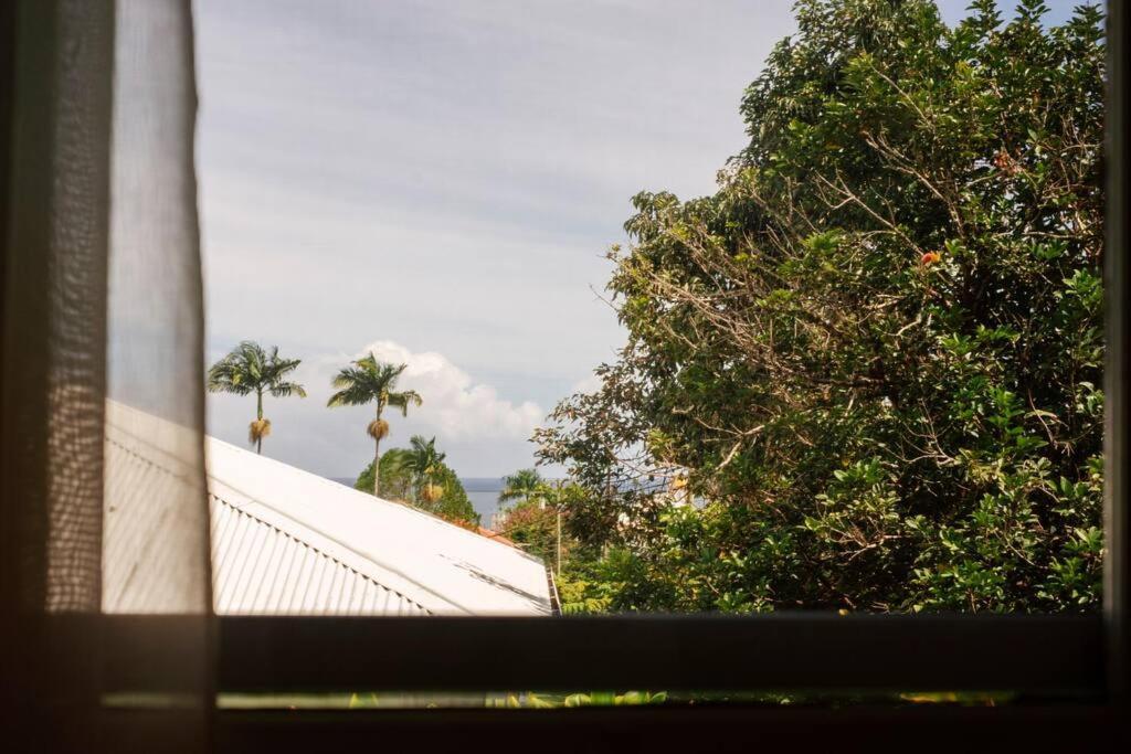 New Paddler'S Inn- 3Br Hilo Downtown Bagian luar foto